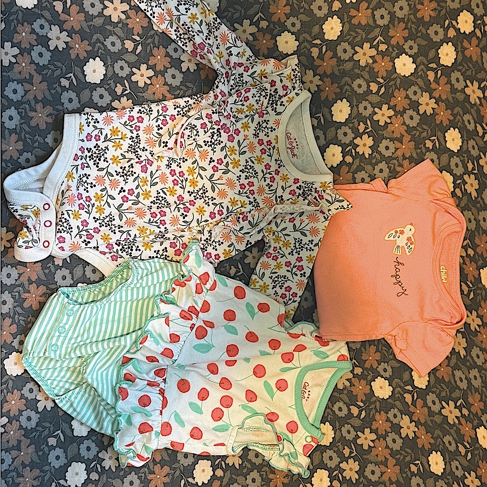 Floral and Striped Baby Onesies Set